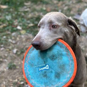 Meet your Posher, Jared